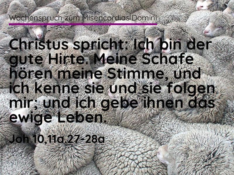 Misericordias Domini