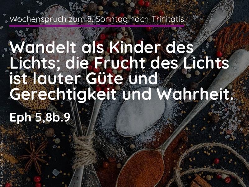 8. Sonntag nach Trinitatis