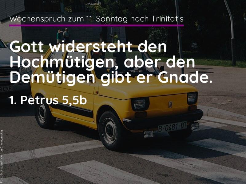 11. Sonntag nach Trinitatis