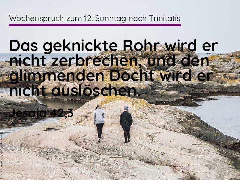 12. Sonntag nach Trinitatis