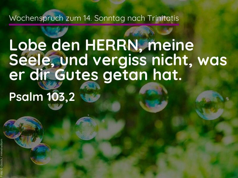 14. Sonntag nach Trinitatis