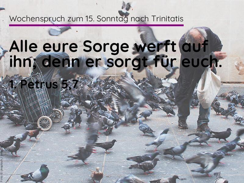 15. Sonntag nach Trinitatis