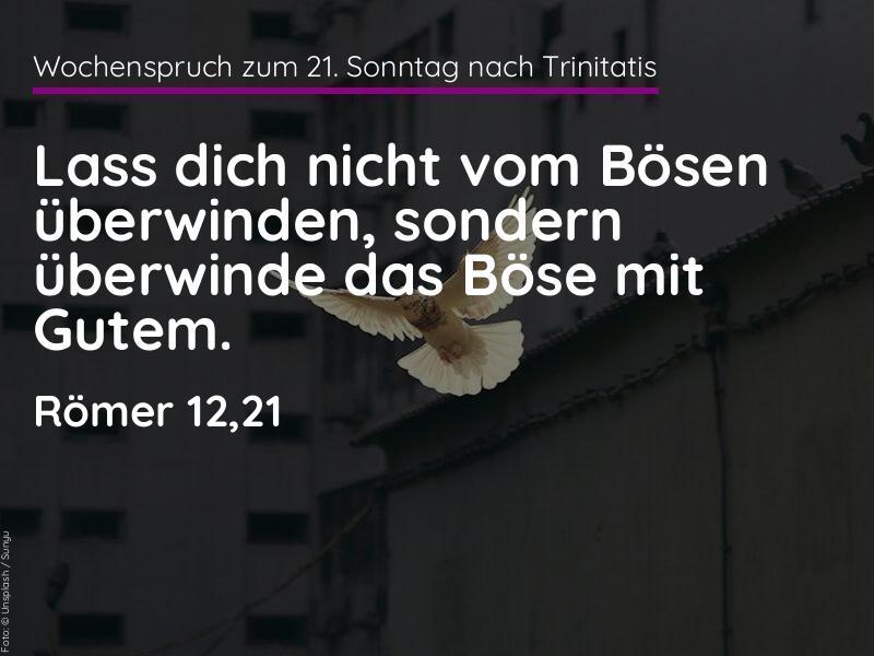 Bild 2026-10-25
