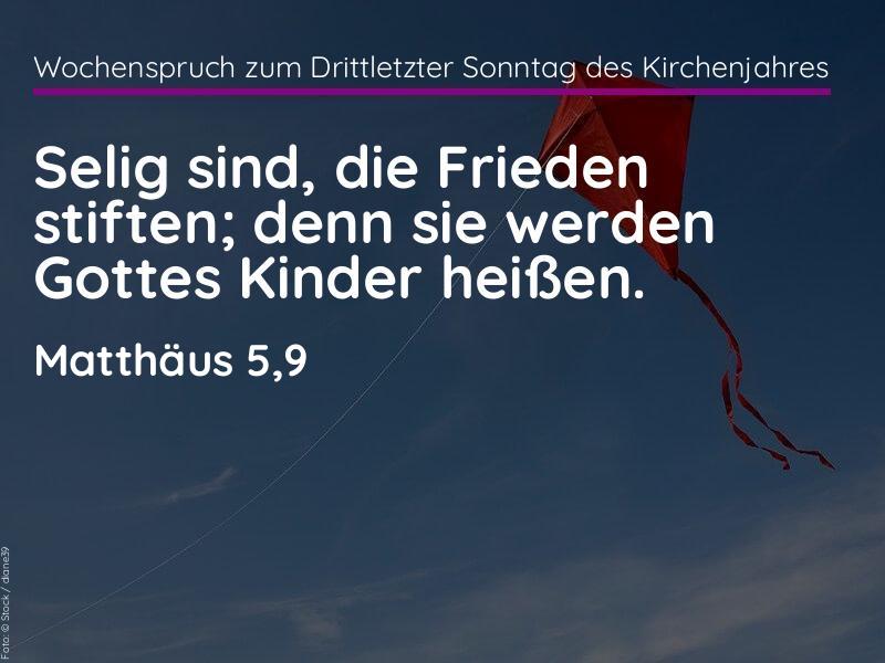 Bild 2026-11-08