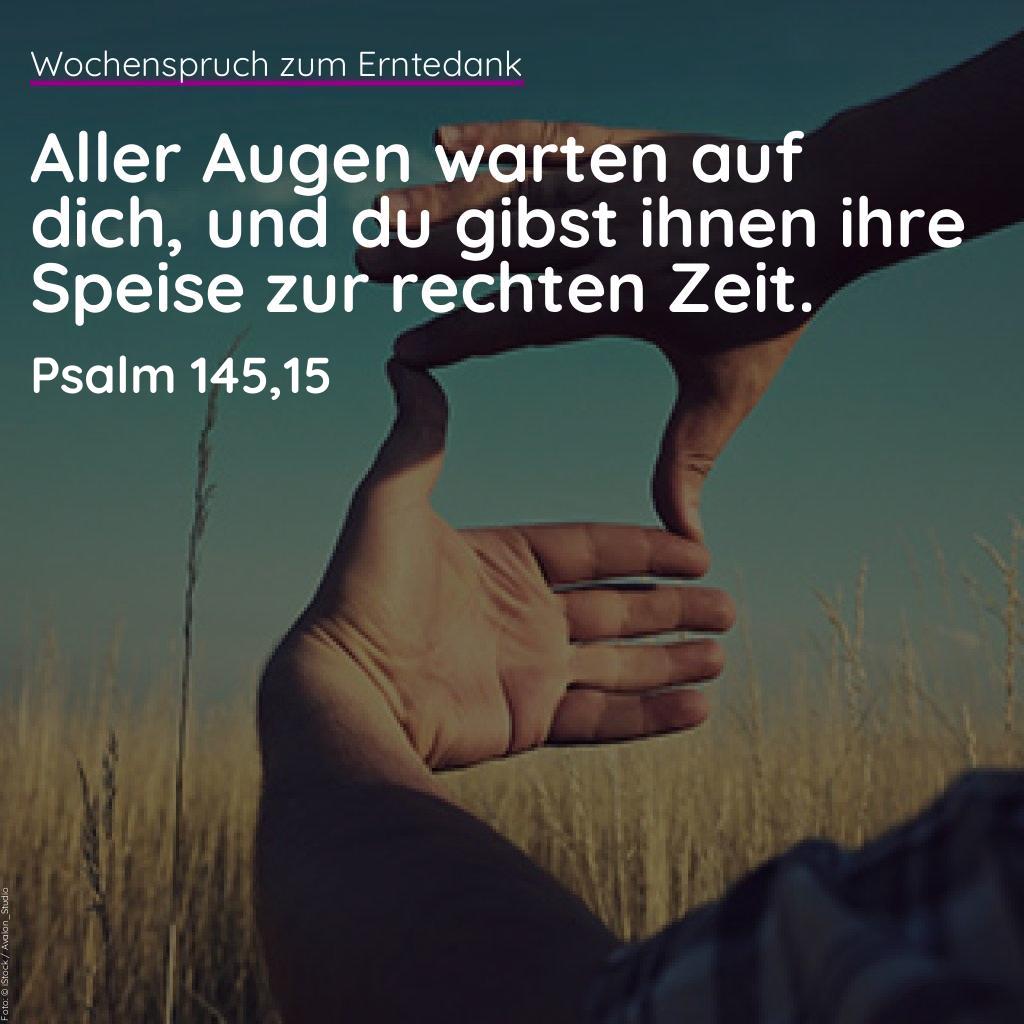 Bild für Instagram