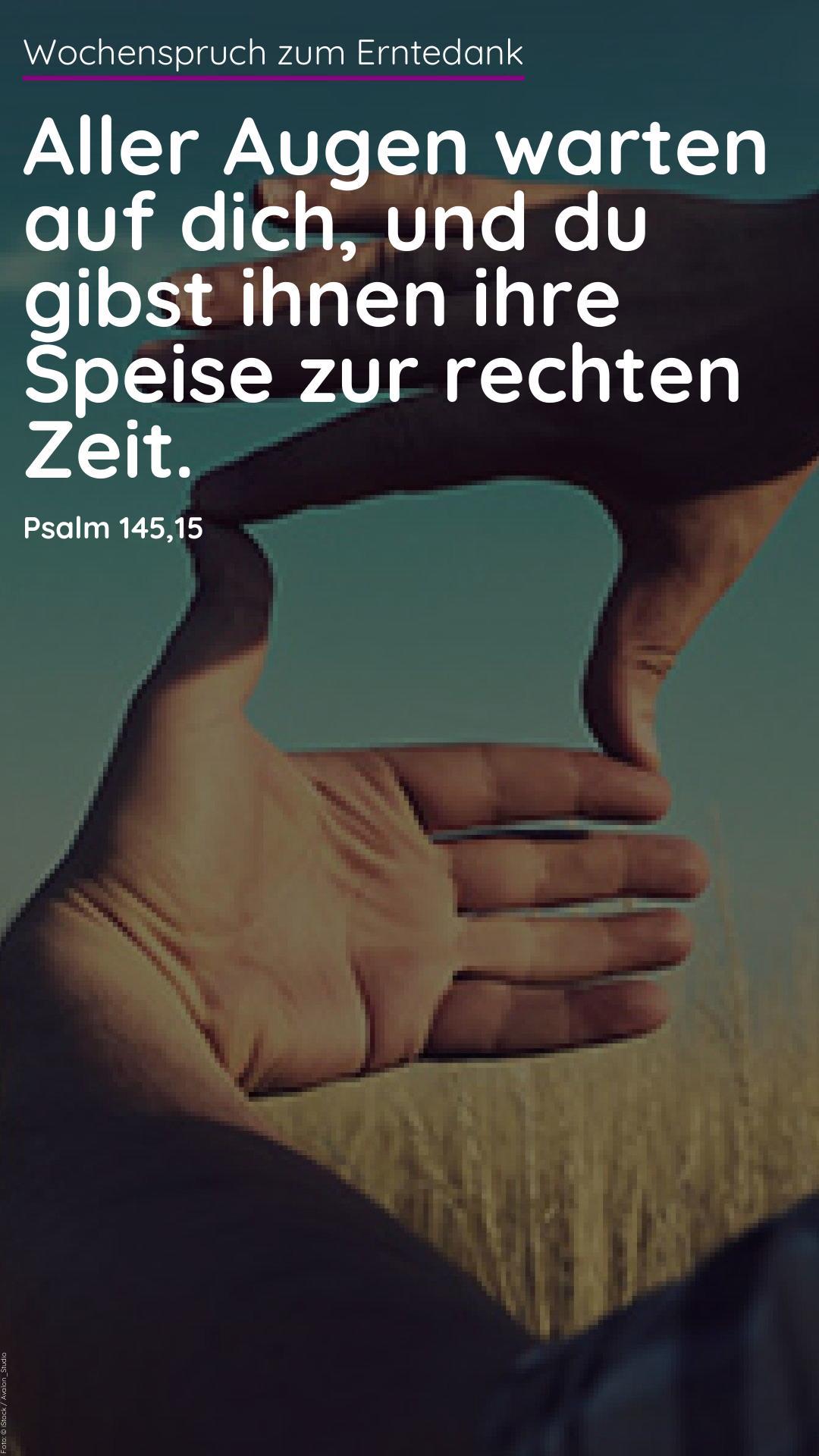 Bild für Instagram