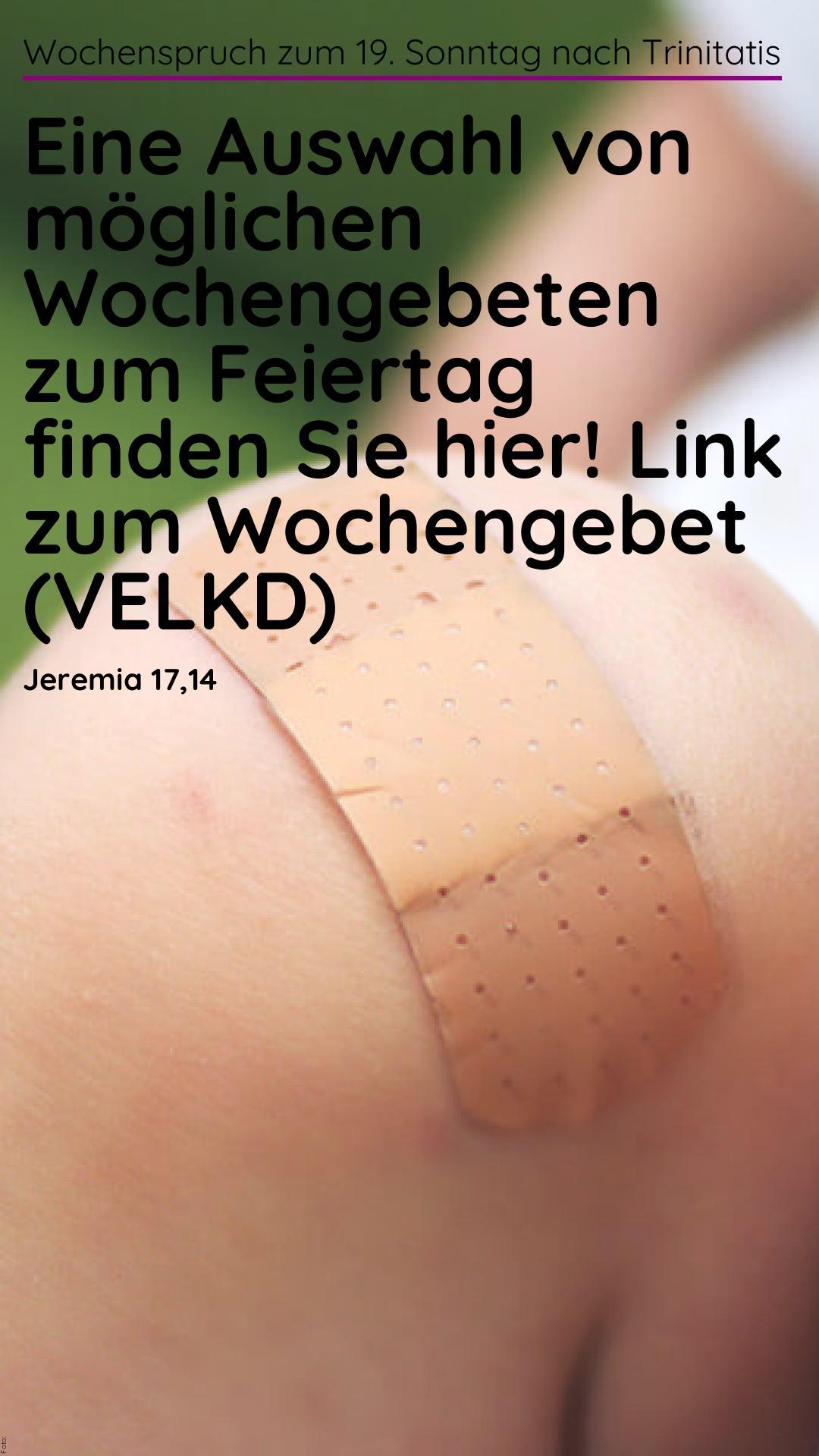 Bild für Instagram